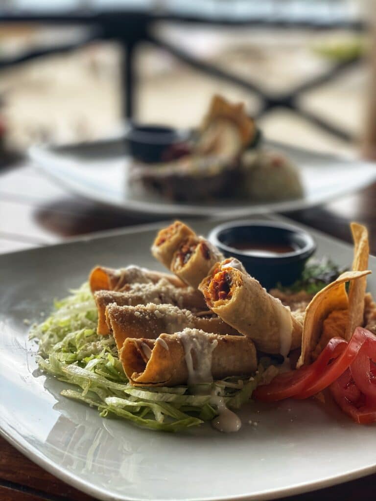 Crispy taquitos with fresh salad and sauce.